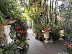 Opera Estate (D15), Terrace #547222991